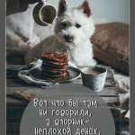 Александр, 63 года